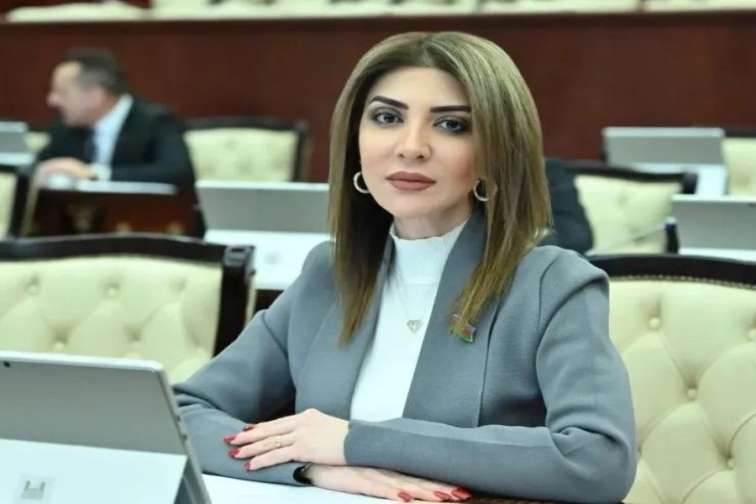 “Uşaqpulu verilsə, kişilər işləməz” – Deputatdan ŞOK sözlər...